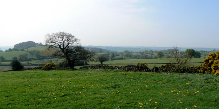 Hillside Hillside